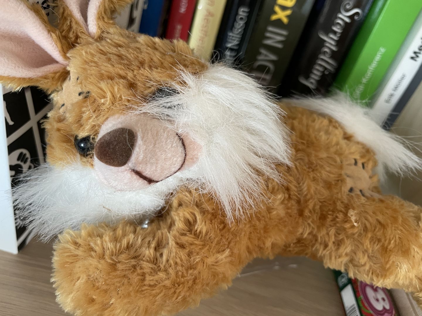 Plushie bunny sitting in my bookshelf